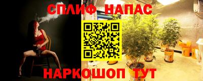 стаф Будённовск