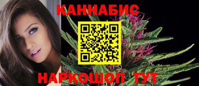 стаф Будённовск