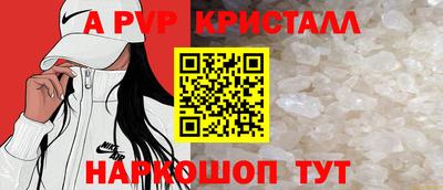 стаф Будённовск