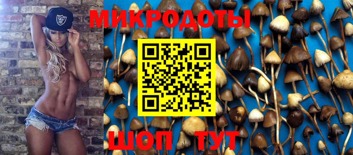 Галлюциногенные грибы мицелий Серпухов