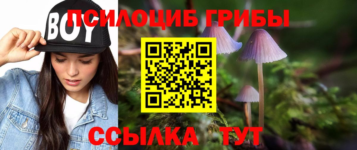 Серпухов  Псилоцибиновые грибы мухоморы  Вход с VPN 
